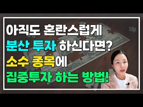 집중 투자를 위한 종목 선택 방법을 알려드립니다! [한주주의 경제의 밤]