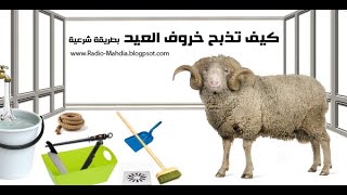 كيفية ذبح وسلخ كبش العيد بطريقة سهلة جدا