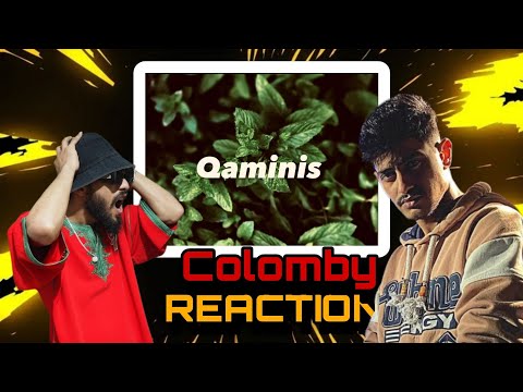 248 Reaction 2025 Colomby Audio Qaminis كولومبي الراب الليبي 