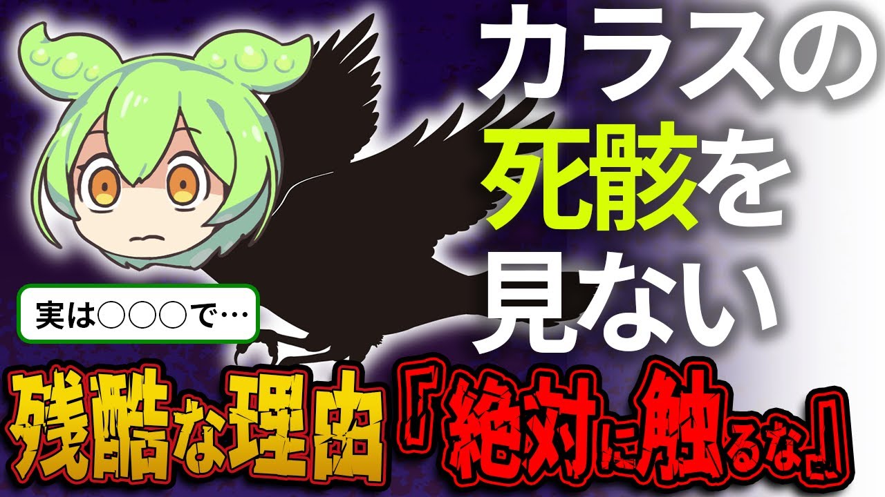 カラスの撃退失敗がヤバい【警告】今すぐ逃げて！なぜカラスの死骸を見ないのか…街中であんない飛んでいるのに…