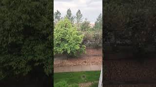 Download Lagu Anyone like Rain🌧 MP3 Download Lagu Anyone like Rain🌧 MP3