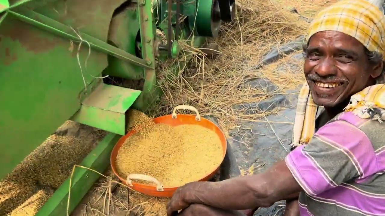 ಭತ್ತ ಒಕ್ಕುವ ಯಂತ್ರ। Rice grain separation thresher machine #village #farming #machinework 