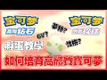 【寶可夢 晶燦鑽石/明亮珍珠】| 孵蛋入門教學和孵蛋需要的注意事項！！如何培育培育高體質寶可夢？！