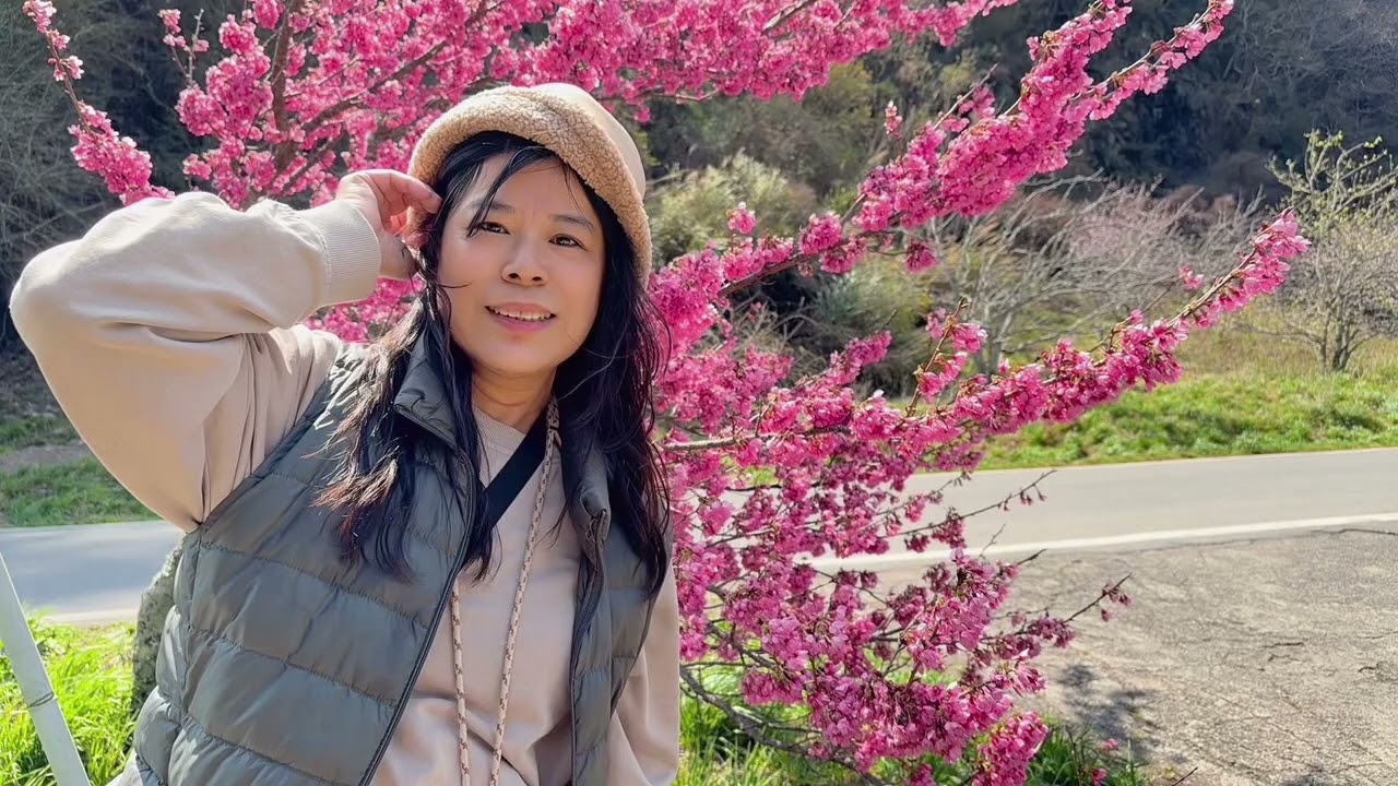 115/03/08武陵農場