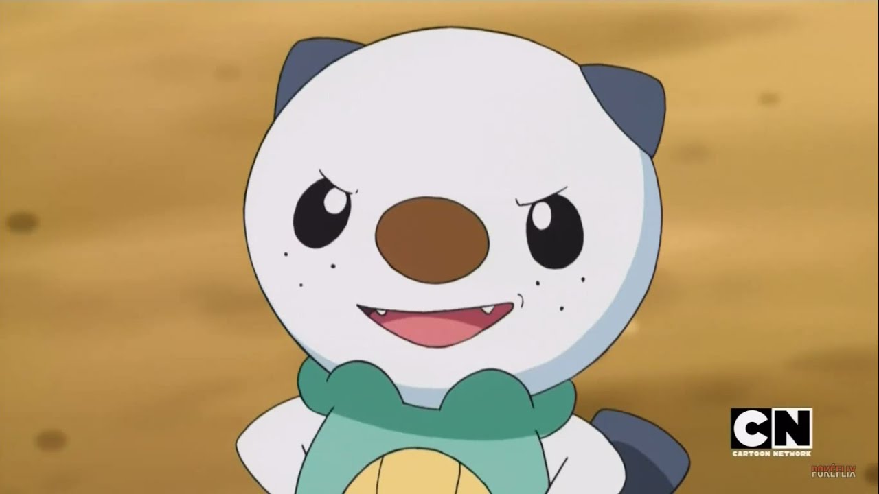 Oshawott | Anime-Planet