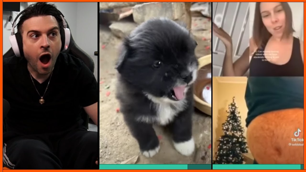 Мы смеемся и реагируем на БЕЗУМНУЮ медиа-публикацию, которую вы отправляете #53