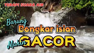 TERAPI SUARA AIR, burung cepat bongkar isian dan makin gacor