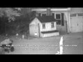 Chicken vs Fox ATTACK in pen/coop night vision, Fox then trapped inside Chicken vs Fox ATTACK in pen/coop night vision, Fox then trapped inside