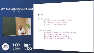 Bálint TÓTH   Scaling limits for random walks and diffusion with long memory   part 8 8