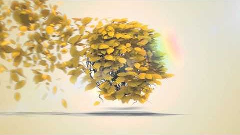 Flying Leaves Logo Reveal | After Effects Template