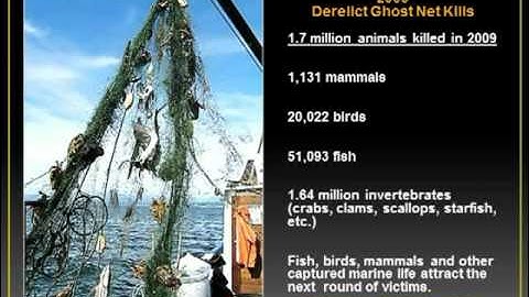 Gillnets and the PNW