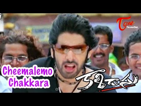 Kalidasu Songs   Cheemalemo Chakkara   Tamanna   Sushanth