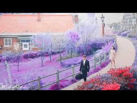 اليسا تعالى حبيبي مش هنسى حبك مهما كان