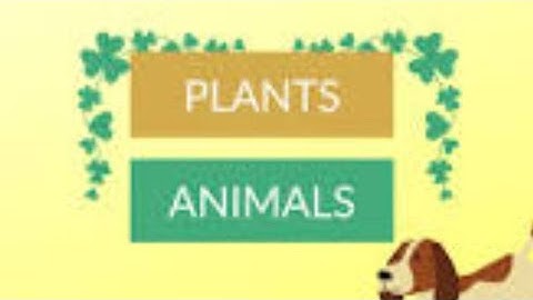 Difference between plants and animals( class 3)