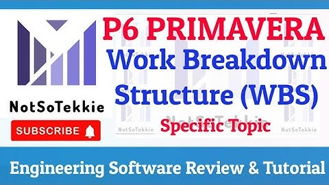PRIMAVERA P6 WORK BREAKDOWN STRUCTURE