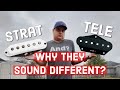 What Is The Difference Between a Stratocaster Pickup And A Telecaster Pickup