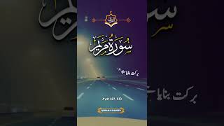 Maryam’s Silence, Isa’s Speech – A Story of Faith & Miracle 🌟📖 #QuranMiracle #JesusInIslam