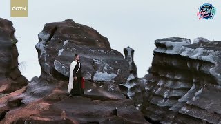 Download Lagu 地球上哪裏可以直接外景拍攝火星故事？——松桃縣紅石林