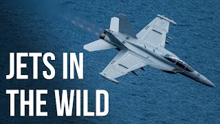 LOW & FAST Jet Flybys | F15 Eagle, F18, C17, EA18G and more! [Full Afterburner]