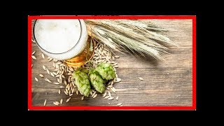 HausmittelWarmes Bier bei Erkältung: Mythos oder Wahrheit?