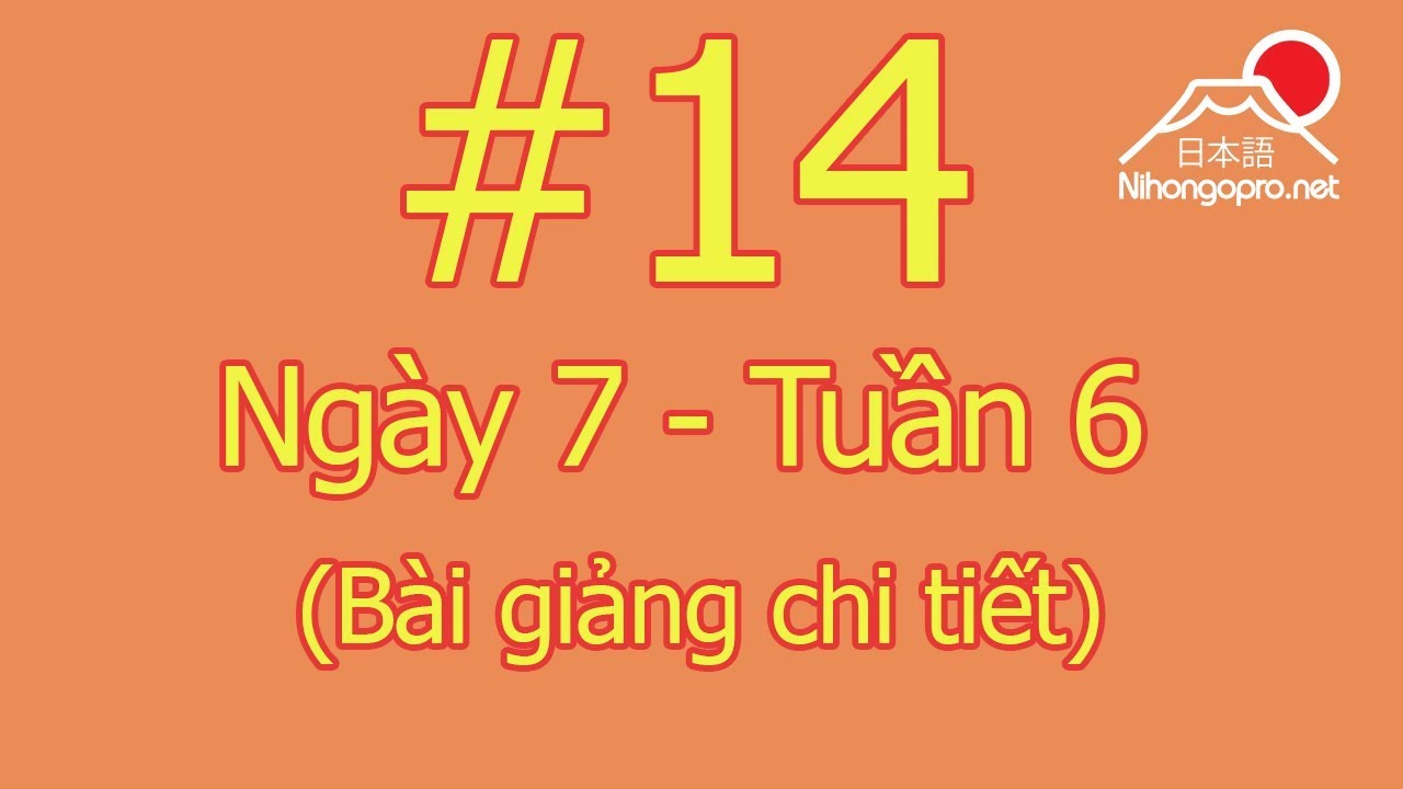 Đọc hiểu N3 - Ngày 7 - Tuần 6 - Somatome (Bài giảng chi tiết)