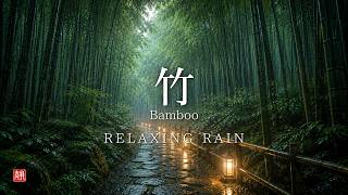 A Quiet Walk Through a Rainy Japanese Bamboo Forest | 竹  | Relaxing Music for Sleep & Meditation