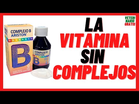 Video: ¿Tomo un multivitamínico, debo darle uno a mi perro?