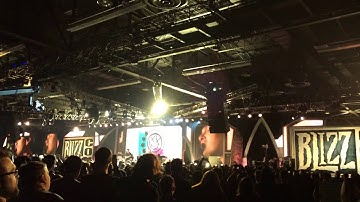 Blizzcon 2013 Blink 182