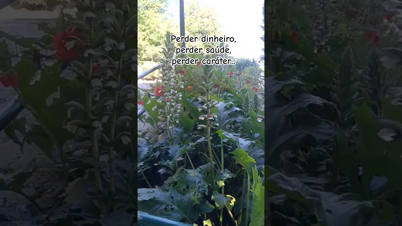 Caráter é ouro #motivacional #reflexão #shorts