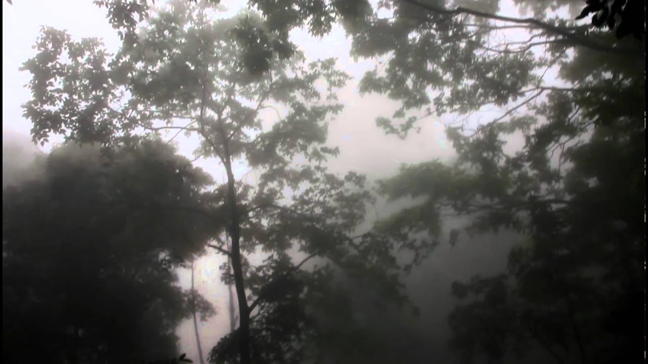 China Cha Dao: Trip to Yunnan, Nan Nuo Mountain. 6