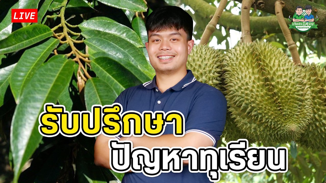LIVE🔴รับปรึกษาปัญหาทุเรียน วันที่ 2/3/2025