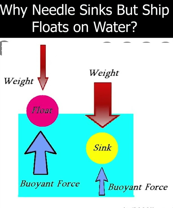Why Needle Sinks But Ship Floats on Water? Shorts YouTube