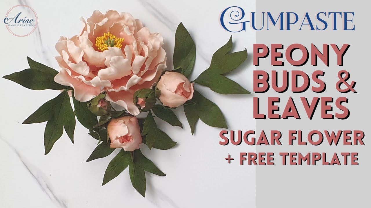 Gumpaste Peony Buds Leaves Sugar