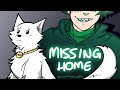 Missing home  dream smp animatic fran awesamdude