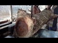 Little and Not Much Good Quality of Rain Tree Wood Cutting in Old Saw Mill by Traditional Way Little and Not Much Good Quality of Rain Tree Wood Cutting in Old Saw Mill by Traditional Way