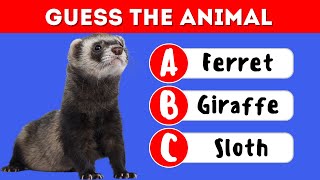 Guess the Animal – Test Your Animal Knowledge! screenshot 4