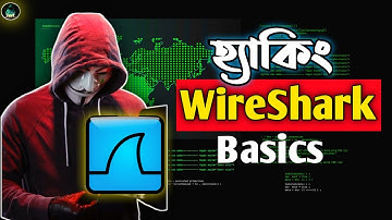 হ্যাকিং এ Wireshark কেন শিখতেই হবে