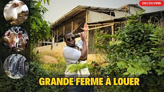 ⌛URGENT: Cette grande ferme entièrement construite est à louer À MOINDRE COÛTS