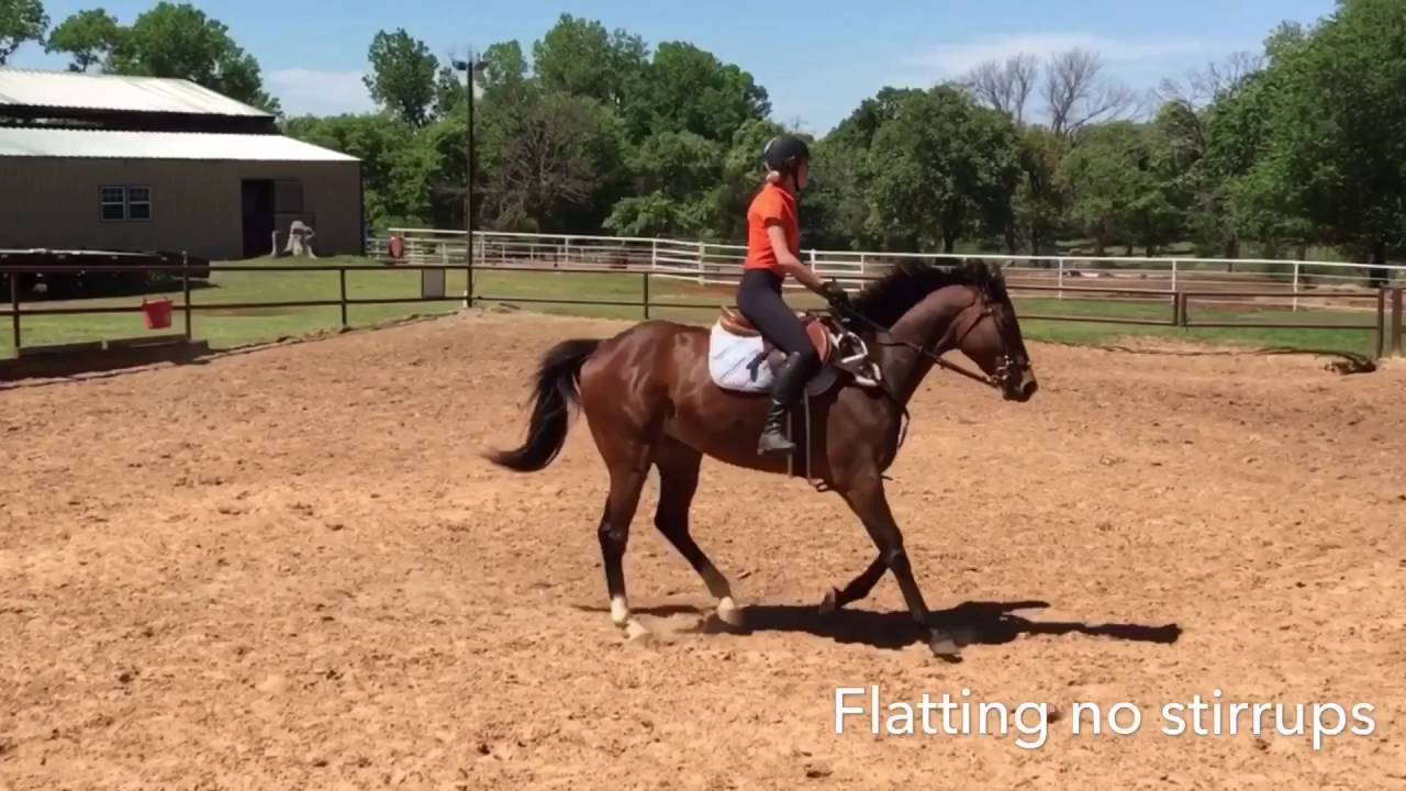 NCEA Equestrian Recruit Video YouTube