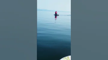 Где в России близко увидеть китов?/Bowhead Whale next to me