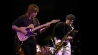 Mike Stern Band - Chromazone