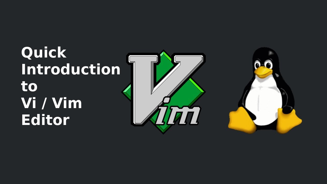 Linux 6.8. Vim редактор. Yes i use vim.