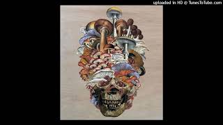 Hawkwind - Some Of That Stuff [vocal isolation - raw]