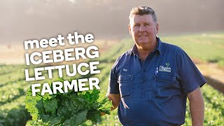 Meet the iceberg lettuce farmer - Fresh stories from the farm