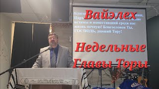 Вайэлех, Недельные главы Торы, September 27, 2025