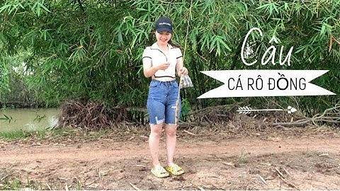 Câu Cá Rô Đồng Tại Cánh Đồng Lúa Quê Tôi | Tập 1