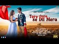 Tere chune se dil mera  hindi official song 2024 prokash niki  raja  sujan