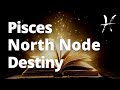 North Node in PISCES Tarot Reading - TIMELESS - Where is Your Destiny Headed?