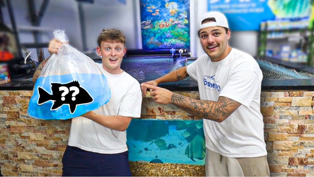 BUYING PAUL CUFFARO ONE OF HIS DREAM FISH!!
