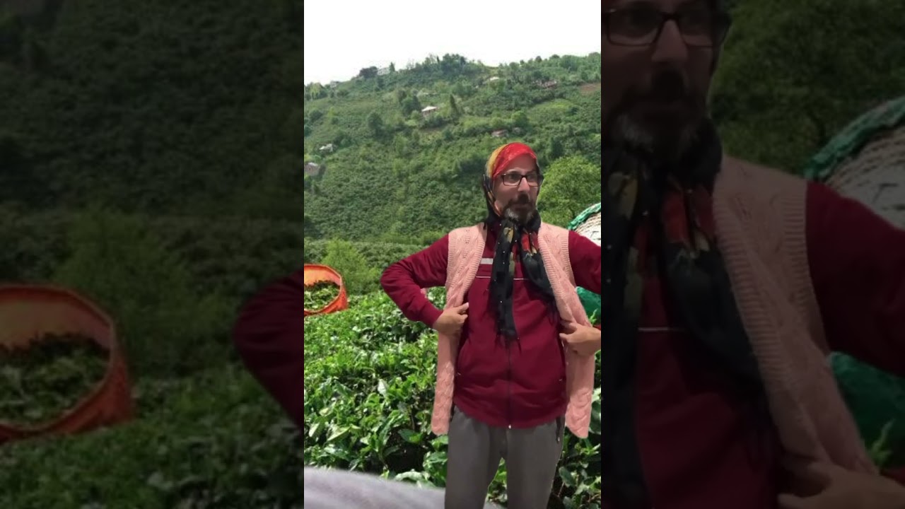 Çaylıkta Bunları Yaşamayan Ben Karadenizliyim Demesin😂